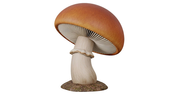 Close-up of a single, realistic orange mushroom with gills and stem