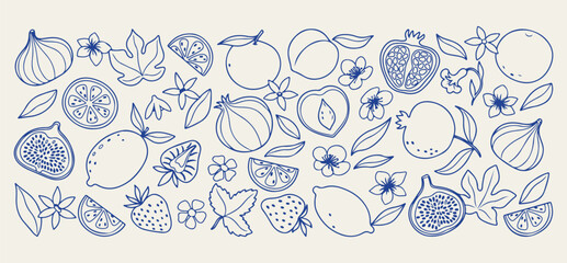 Healthy fruits and berry pattern illustration, fresh organic apple and citrus doodles, garden harvest and nutrition vector set, vitamin rich fruit and berry collection, hand drawn fruit shop and marke © Geetaroy