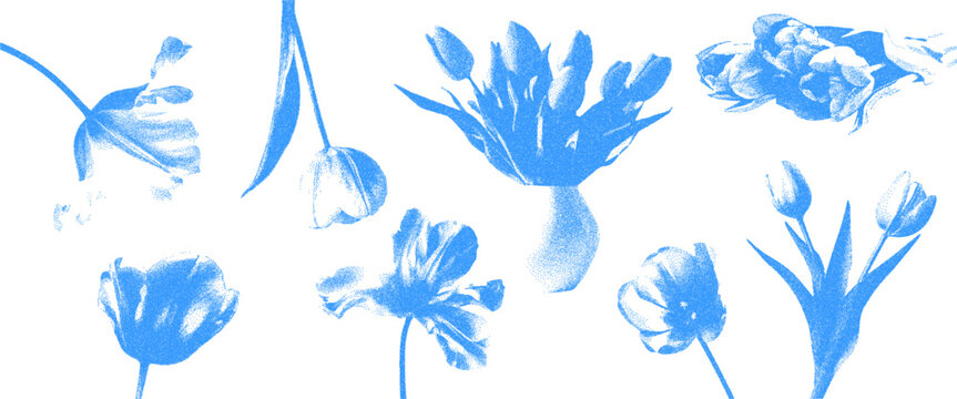 Blue cyanotype bouquets of tulips elements set.  Photocopy effect. Stipple texture in the form of vector points isolated on transparent background.