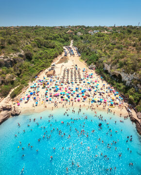 Aerial drone view of colorful umbrellas on sandy beach, swimmers in blue sea, green trees on sunny summer day. Mallorca, Balearic Islands, Spain. Tropical top down view. Turquoise water. Travel