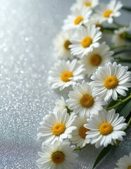 Obraz premium White daisies with yellow centers are arranged on sparkling silver background. Delicate petals, bright blooms create fresh, elegant, simple floral composition perfect for spring or summer themes.