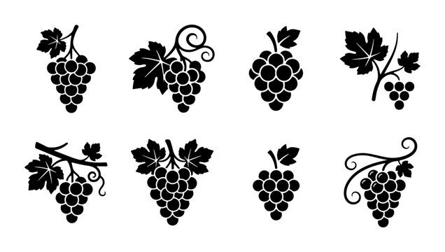 Minimalist grape icons set, black silhouette vineyard fruit symbols, 8 vector grape bunches with leaves for wine labels and branding