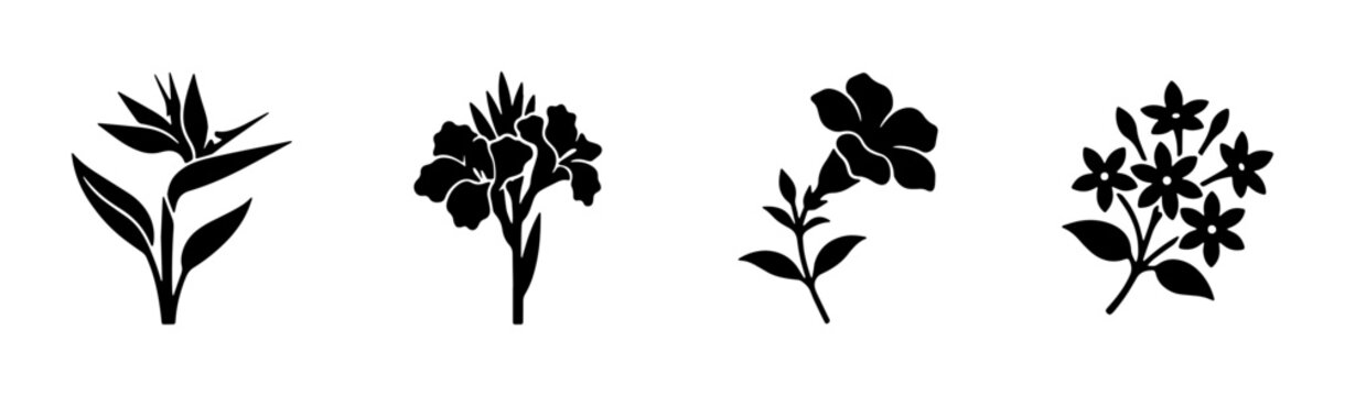 Tropical flower silhouette collection, set of 4 botanical vector icons, black floral bird of paradise and hibiscus elements for logo design