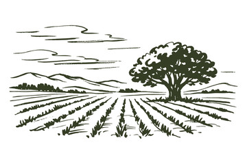 Rural field landscape with tree ink sketch vector illustration © Victoria