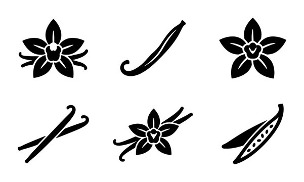 Vanilla flower and bean pod icons, black silhouette spice collection, 6 vector elements for food packaging and organic cosmetic branding