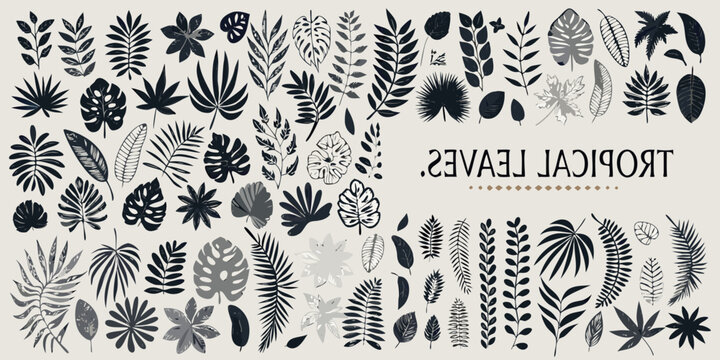 Collection of intricately designed tropical leaves in grayscale tones