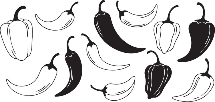 Black and white chili peppers and bell pepper