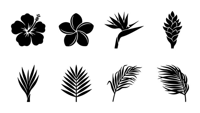 Tropical flower and palm leaf silhouettes, 8 black botanical vector icons, hibiscus and plumeria floral set, exotic summer foliage elements