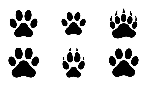 Animal paw prints collection, 6 black vector silhouettes of dog and cat tracks, wild bear and wolf paw icons for nature and pet design