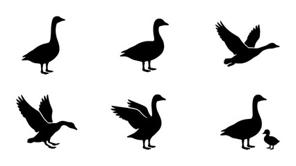 Goose silhouette collection, black waterfowl bird icons in various poses, set of 6 vector illustrations of geese flying and standing © Nabila