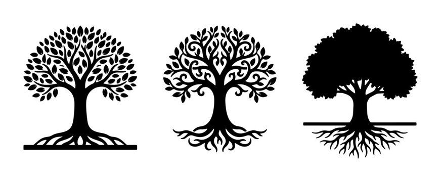 Tree of life silhouettes with roots, set of 3 black vector oak tree icons, decorative nature symbols for logo design and branding