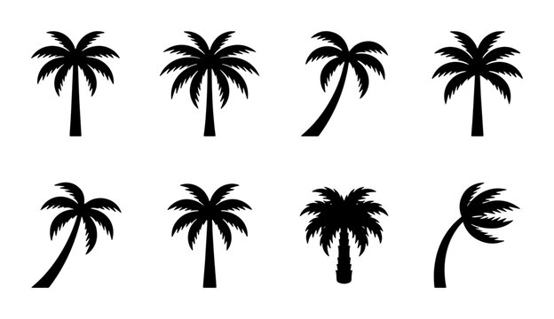 Tropical palm tree silhouettes, set of 8 black coconut tree icons, summer beach plant vector elements for vacation and travel design
