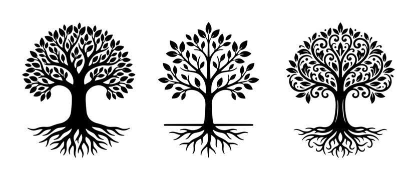 Tree of life silhouettes with roots, set of 3 black vector tree icons, organic nature symbols for branding and environmental logos