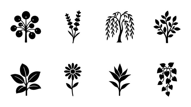 Minimalist botanical icons set, black silhouette plant and leaf vector collection, 8 nature elements including willow tree and lavender