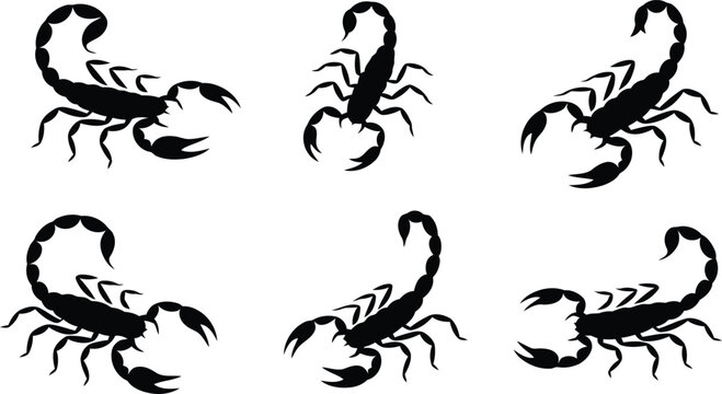 A group of six black scorpion silhouettes with tails curled and pincers raised on a stark white surface