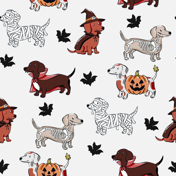 Cute Halloween dachshund dogs wearing spooky costumes like mummy witch vampire skeleton and pumpkin in a hand drawn cartoon seamless pattern for textiles and nursery wallpaper