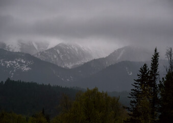 Obraz premium Distant mountain peaks covered in patches of snow under a heavy gray cloud cover overlooking a dense forest