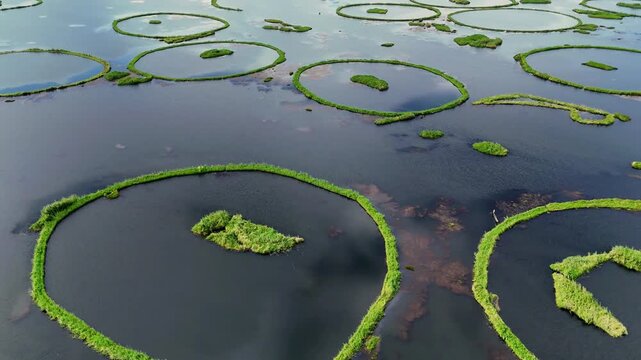 Loktak Lake in Manipur, the world only floating freshwater lake with unique natural landscape. Perfect lake, floating and freshwater visuals with scenic and rare environment.