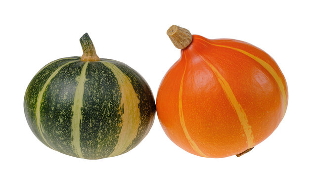 Green striped and bright orange pumpkins side by side