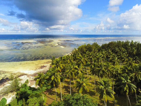 Aerial view of Poivre Atoll with dense palm tree groves and a shallow turquoise lagoon under a cloudy blue sky in Seychelles.