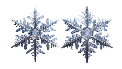 Obraz premium Detailed intricate crystalline snowflakes pair close-up view