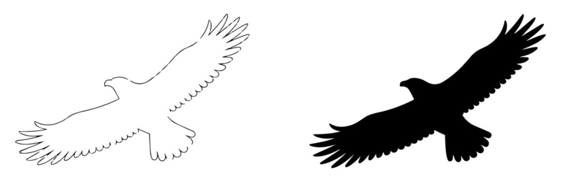 common buzzard bird wildlife icon