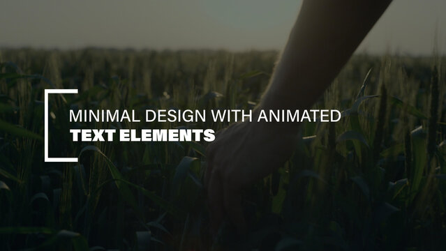 Animated Text Elements