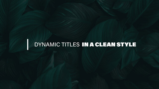 Dynamic Titles in a Clean Style | Minimal Modern Text Animation Elegant Kinetic Typography