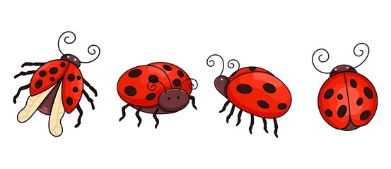 Collection of ladybug characters showing different poses and wing positions © Ivanka