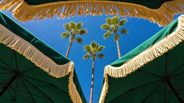 Green beach umbrellas with fringes frame tall palm trees against a clear blue sky. A sunny day evokes a tropical atmosphere.