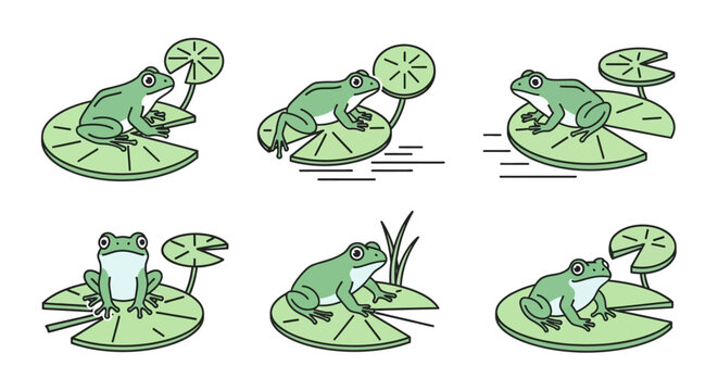 Green frog on a lily pad.