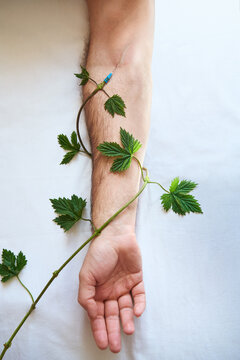 Human hand connected with plant vine receiving natural plant based medical infusion