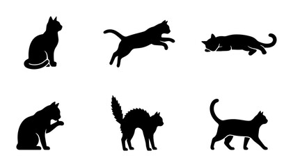 Black cat silhouette collection, set of 6 feline vector icons in various poses, domestic cat silhouettes for pet branding and animal graphics © Abid