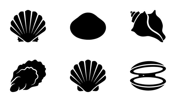 Minimalist seashell silhouette icons, black sea shell vector set of 6 elements, nautical scallop and clam symbols for summer beach branding