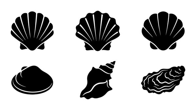 Seashell black silhouette icons set, nautical scallop and clam shell vector collection, marine oyster and conch shell symbols for summer beach branding