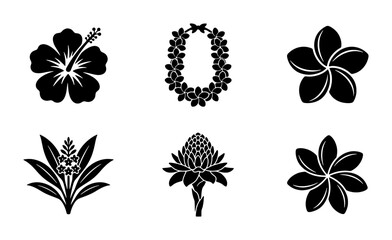 Tropical Hawaiian flower icons set, black silhouette hibiscus and plumeria vector elements, 6 exotic floral symbols for summer branding © Arif