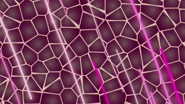 abstract geometric pattern resembling a cellular structure or Voronoi diagram on a dark purple gradient background.
