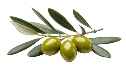 Green Olives with Branch and Leaves © Carmen