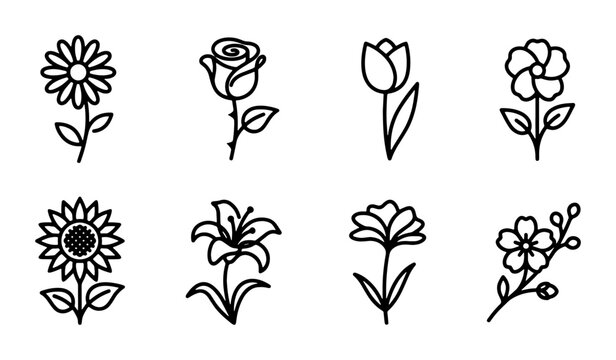 Minimalist flower line icon set, 8 botanical vector elements including rose and sunflower, clean floral outline illustrations for web and branding