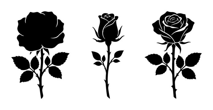 Black rose silhouette vector set, elegant floral blossom icons with stems and leaves, minimalist botanical flower collection for wedding invitations