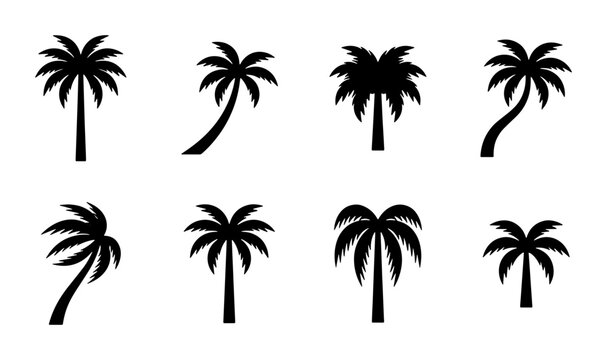 Black palm tree silhouettes, set of 8 tropical coconut tree icons, summer vacation beach plant vector elements, exotic island flora graphics