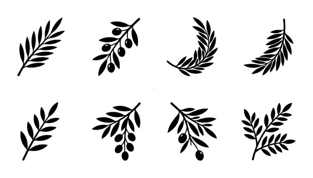 Minimalist olive branch silhouettes, set of 8 black botanical leaf icons. Mediterranean olive tree sprigs, organic floral vector elements for logo design.