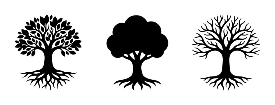 Black tree silhouette collection with roots, set of 3 botanical vector icons, minimalist oak and maple tree shapes for nature logos and eco branding