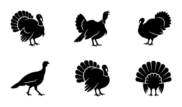 Black turkey silhouette collection, set of 6 wild turkey bird icons, Thanksgiving holiday poultry vector graphics for autumn seasonal design