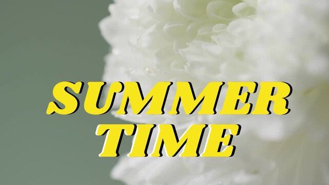 Yellow SUMMER TIME headline holding center while focus shifting, revealing petal detail for design