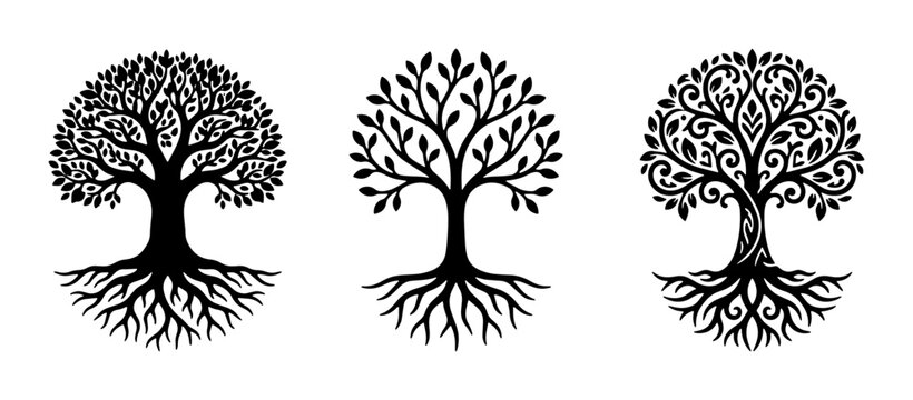 Tree of life silhouette set, black organic tree icons with roots and leaves, celtic style nature symbols, 3 vector illustrations for logo design