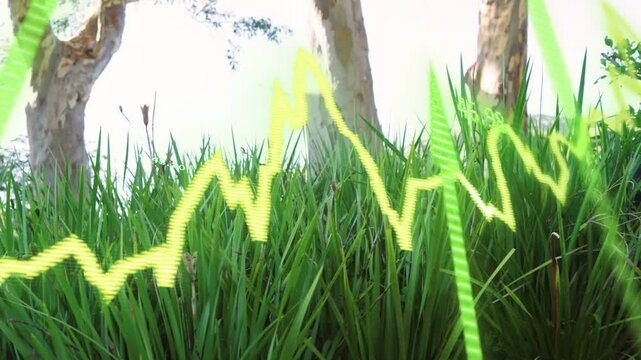 Sensor ping driving wave over grass, peaking then falling, green ribbon sliding hiding data, nature
