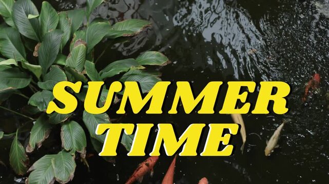 Static SUMMER TIME overlay center, koi entering edges, swimming, creating ripples for design