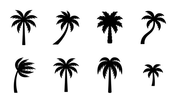 Tropical palm tree silhouettes, set of 8 black coconut tree icons, exotic summer plant vector elements for beach vacation branding and travel logos