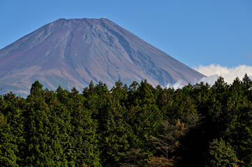 Fototapeta premium 静岡県 朝霧高原より望む富士山 